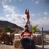 Fermin Velazquez - @fermin.velazquez3 - TikTok