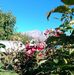 Fermin Zarate - Facebook