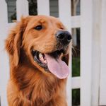 Bailey Fern Barbis - @baileyfern_thegolden - Instagram