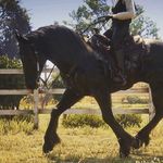 Fern Bailey Sporthorses - @fb.sporthorses - Instagram
