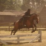 Fern 'Fox' Bailey - @rdo.fern - Instagram