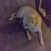 Fern Barnes Krayenhagen - @fern.barnes.kraye - TikTok