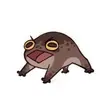 fernblackledge997 - @fernblackledge997 - TikTok