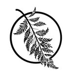 •Ｂｌｖｃｋ Ｆｅｒｎ• - @blackferntattoo - Instagram
