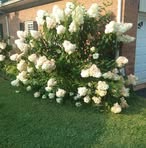 Fern Browning - Facebook