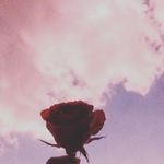 Jayden Fern Casey - @jaydenfernc - Instagram