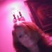 Fern Cash - Facebook