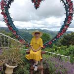 Fe Fernandez Chamberlain - @fefernandezchamberlain - Instagram
