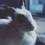 Fern_chavez7 - @fern_chavez - Instagram