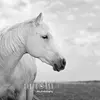 Ferne Christensen - @user8434696699544 - TikTok