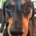 Roger Christensen - Facebook