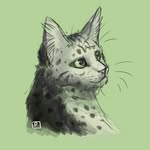 _ferncloud_ - @_ferncloud_123 - Instagram