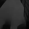 fern - @fern.cloud - TikTok