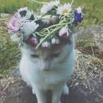 ღFerncloudღ - @_ferncloud_ - Instagram