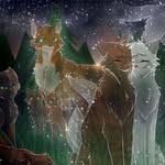Ferncloud


папоретохмарка - @cats_warrioars453 - Instagram