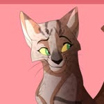 Ferncloud Is Here! - @ferncloud_the_warriorcat - Instagram