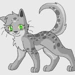 @ferncloud_oficial - Instagram