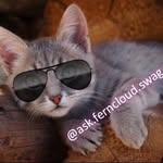 Hey Its Ferncloud!🐾🐾 - @ask.ferncloud.swag - Instagram