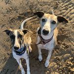 Conner and Fern - @connerandfern - Instagram