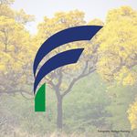 Cooperativa Fernheim - @cooperativafernheim - Instagram