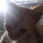 Blu Fern Cortez - Facebook