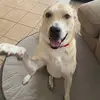 Fernanda Acosta - @ferniacosta10 - TikTok