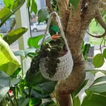 Fern and Fibre Crafts - @fernandfibrecrafts - Instagram