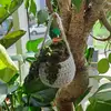 Fern and Fibre Crafts - @fernandfibrecrafts - TikTok