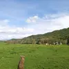 ferncraft - @ferncraft12 - TikTok