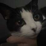 Fern - @_ferndarling_ - Instagram