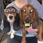 Fern Darling + Dottie Peaches - @fernanddottie - Instagram