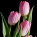 Fern Davies - Facebook