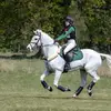 Fern Dodson - @ferndodson - TikTok