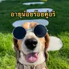 ferndow shop - @fern_dow - TikTok
