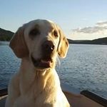 Fern Downey - @ferndowney - Instagram