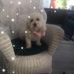 Fern Eisenberg - Facebook
