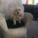 Fern Eisenberg - @ferneisenberg - Instagram