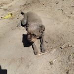 Fern Gruskin Eisler - @fernies_journeys - Instagram