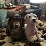 Penélope_Fern and Elliott - @penelopefernandelliott - Instagram