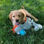 Birdie Fern Ennis - @birdiefern - Instagram