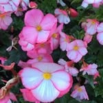 Fern Evans Firth - @evansfirth - Instagram