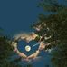 Fer Fern - Facebook