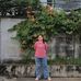 Fern Fair - Facebook