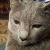 Fern Filley - Facebook
