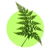 FernFieldsSchoolhouse - @fernfieldsschoolhouse - TikTok