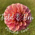 Field & Fern - @fieldandfern.farm - Instagram