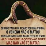 Fernando Fleming - @fernando.fleming - Instagram