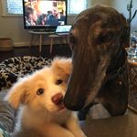 Floyd🎵 & Fern🌿 - @floyd_and_fern - Instagram