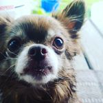Fern Fowler - @fernyfowler - Instagram