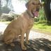 Fern Michaud Fowler - Facebook